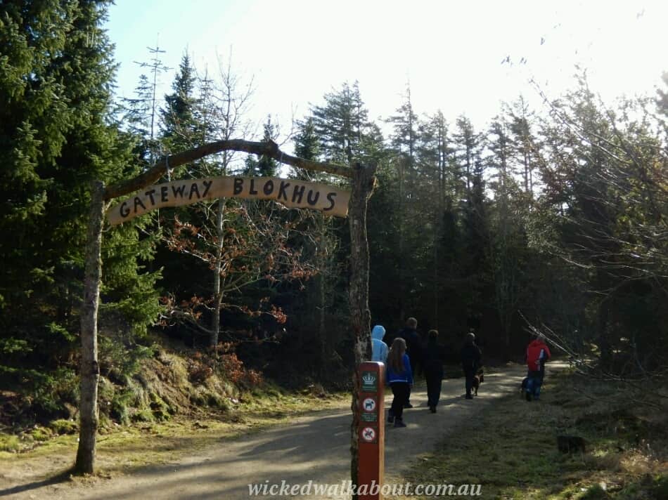 DSCN0202