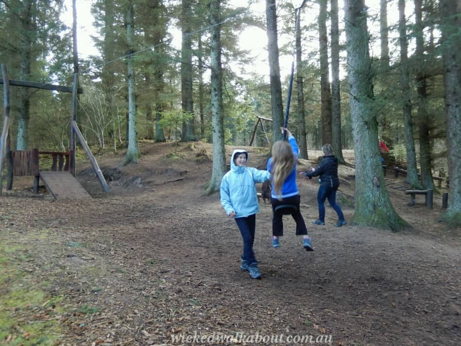 flying fox