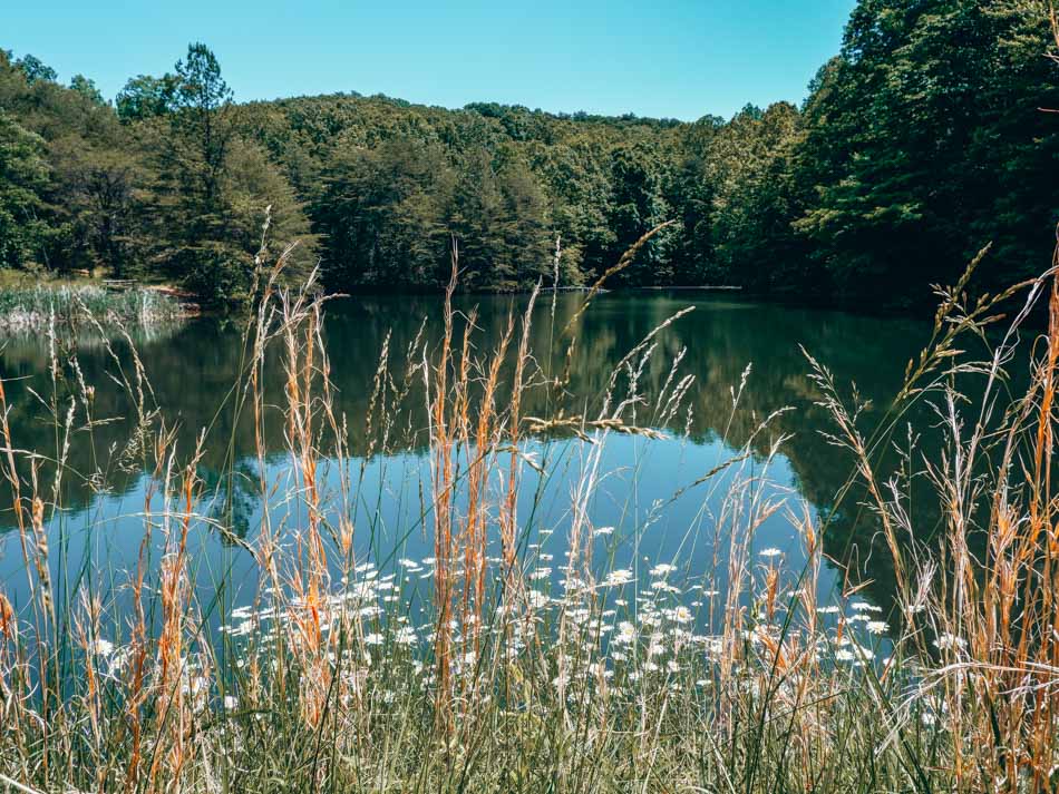 mitchell lake in jefferson memorial forest in fairdale kentucky