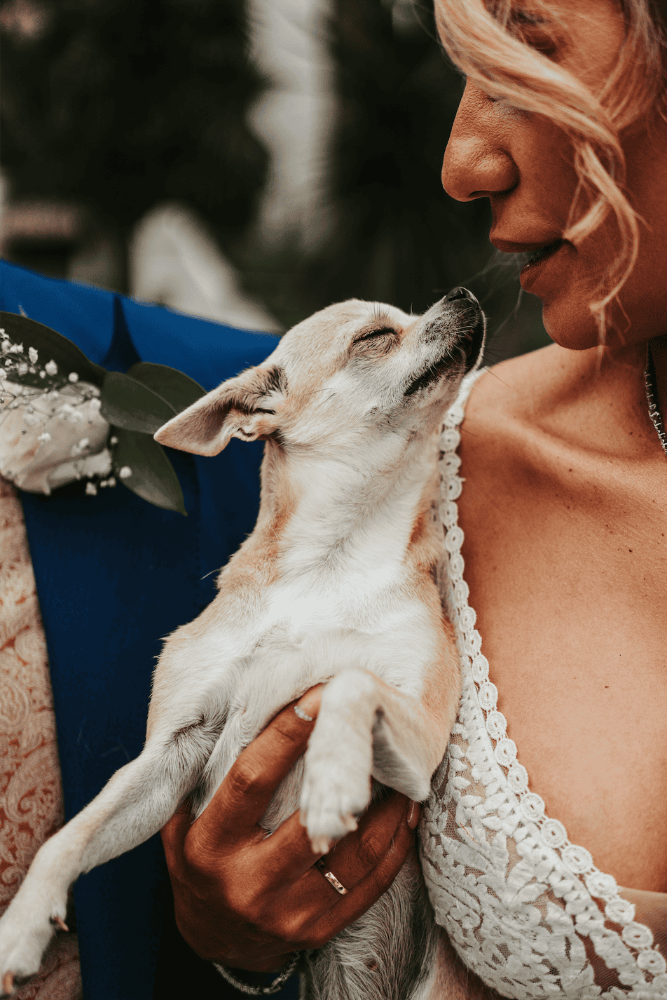 bodas en girona