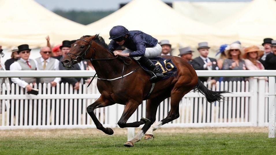 Ryan Moore on his rides for Friday
