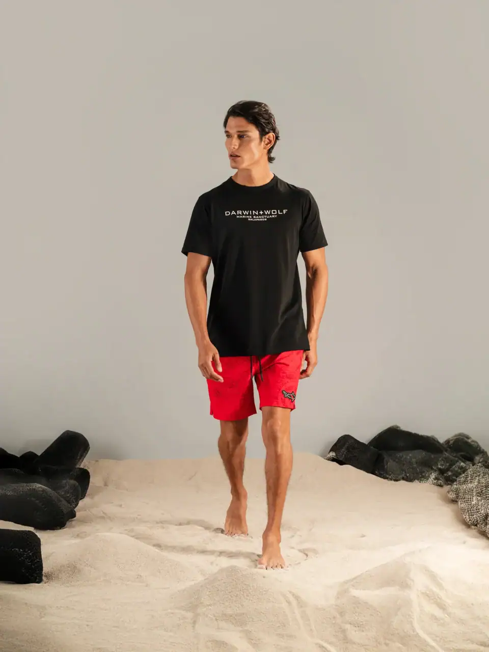 Camiseta Tiburón Ballena Negra