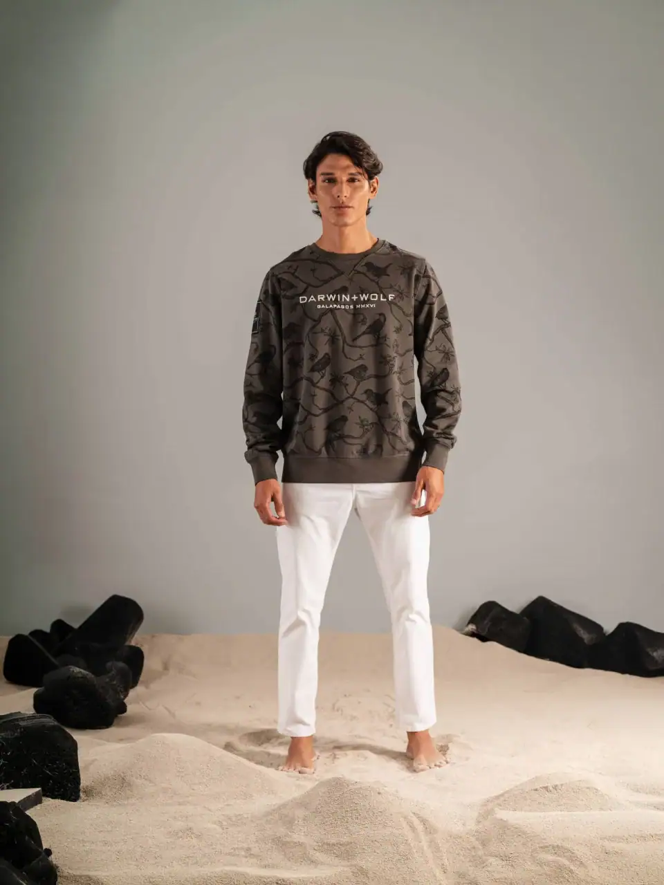Sudadera sin Capucha Ramas y Pinzones Gris