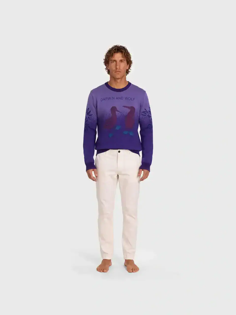 Sweater Piquero de patas azules