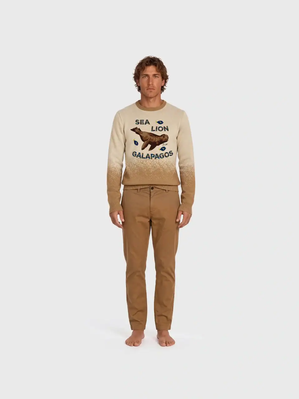 Sweater Sea Lion