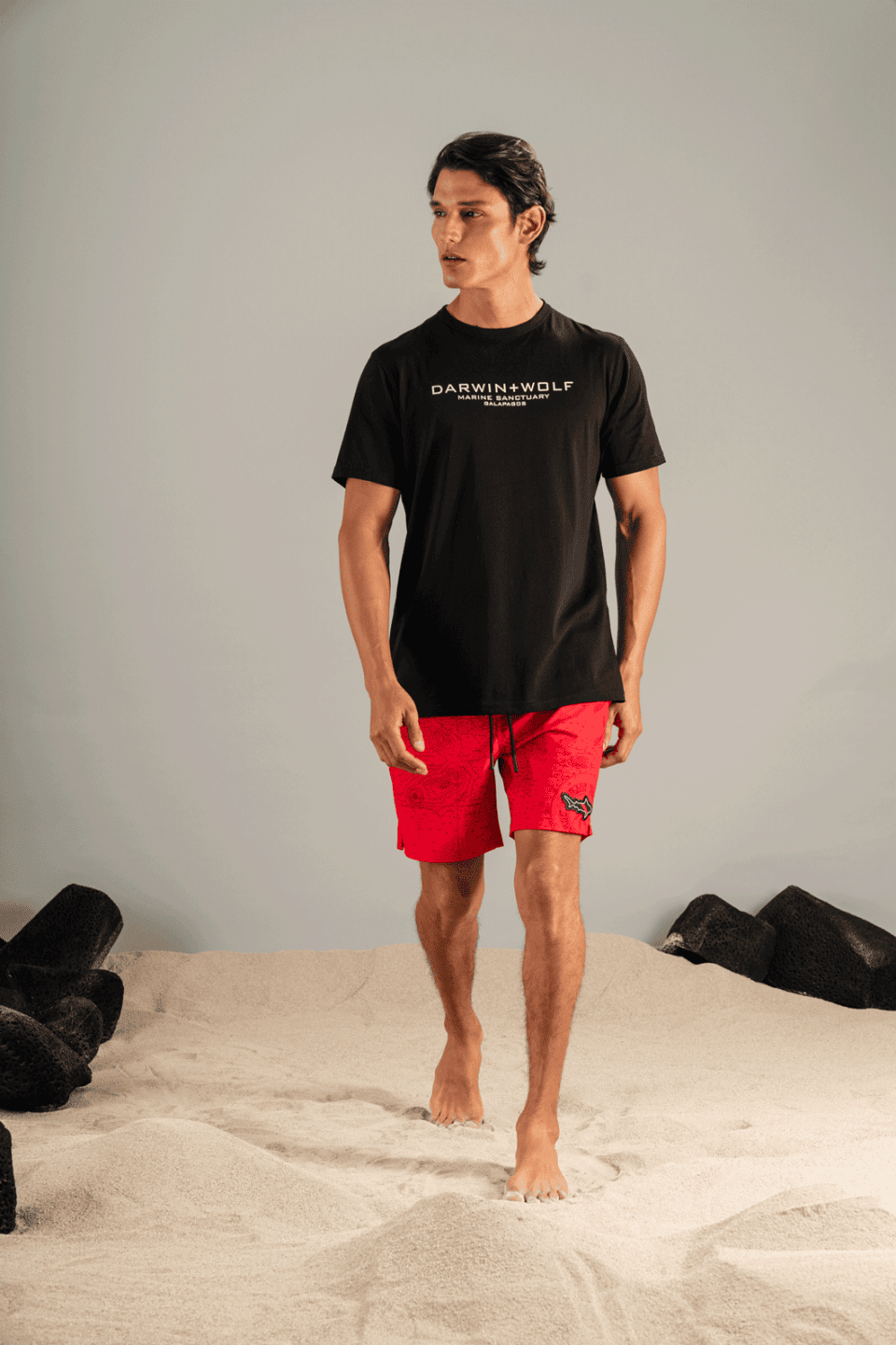 CAMISETA TIBURÓN BALLENA NEGRA