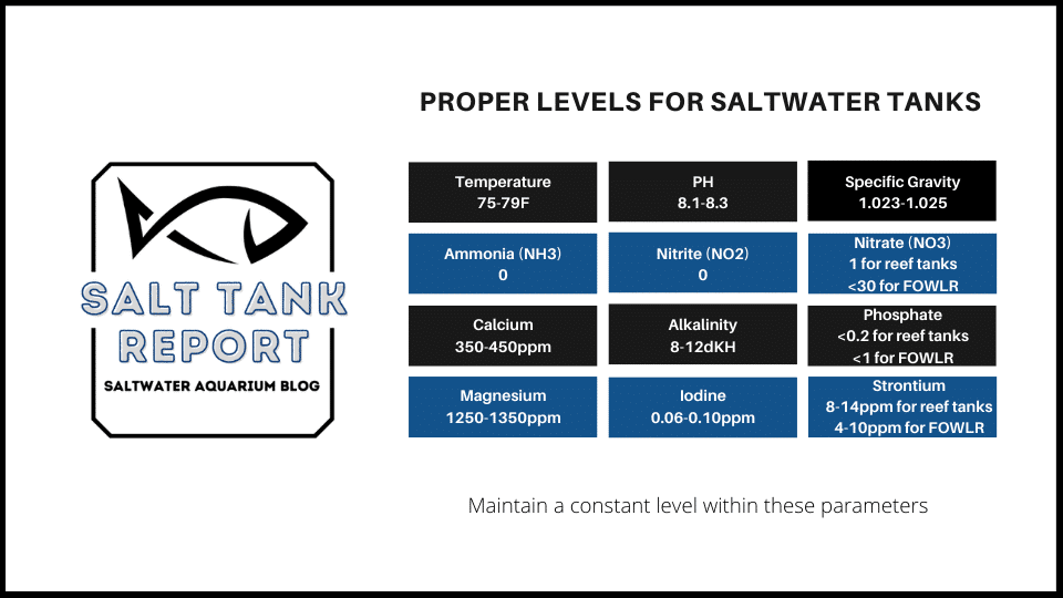 water levels for saltwater tanks