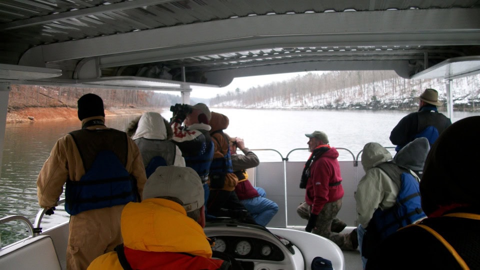 people on a boat eagle watching