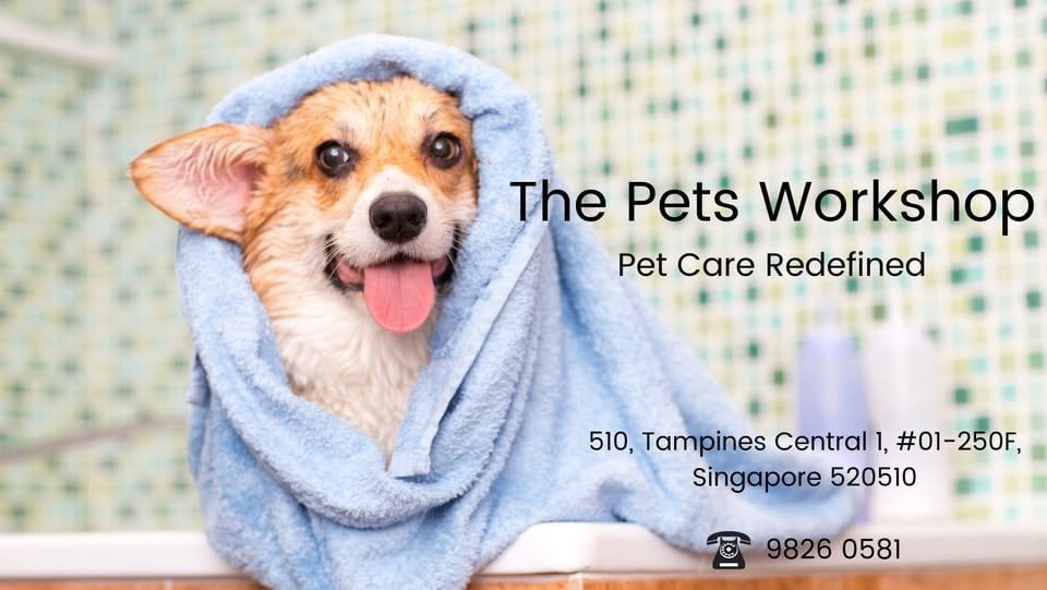 The Pet Workshop Tampines Telepark