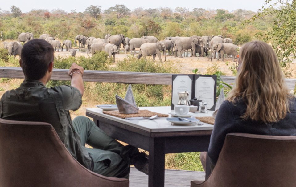 Simbambili Safari Lodge Sabi Sands Game Reserve 6