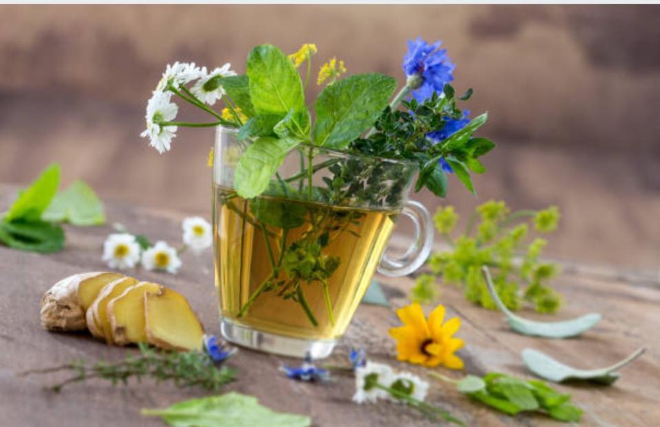 Infusion détox, plantes et santé naturelle