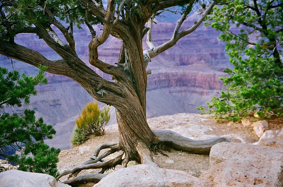 Arizona lifestyle