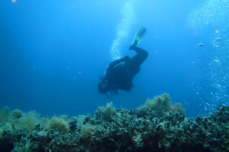 ametlla diving