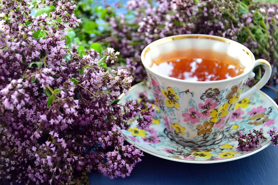 Tisane de thym pour l'hiver - Plantes médicinales et herboristerie familiale