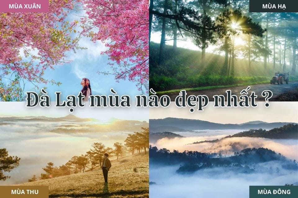Nên đi du lịch Đà Lạt vào khoảng thời gian nào?