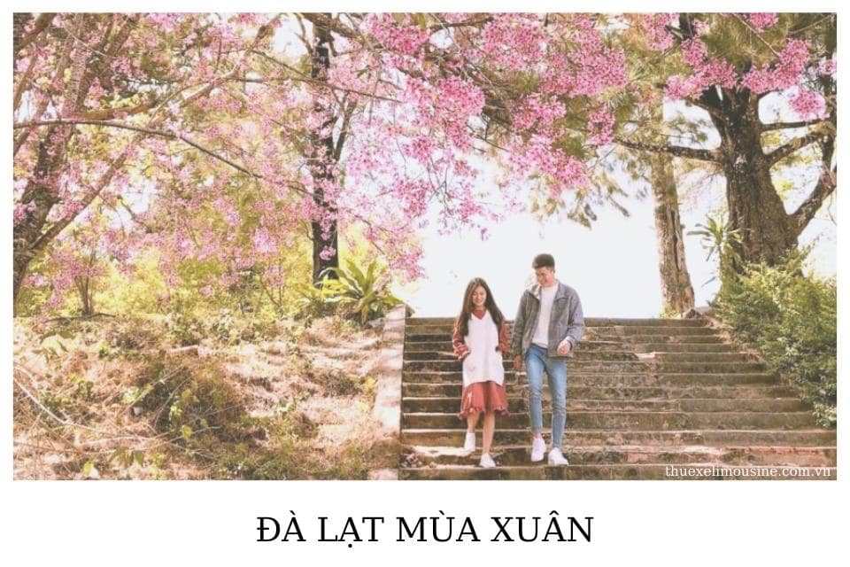 Đà Lạt mùa xuân
