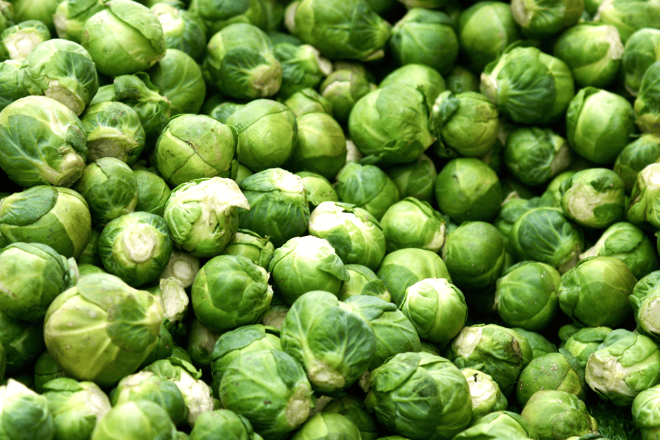 spruitjes