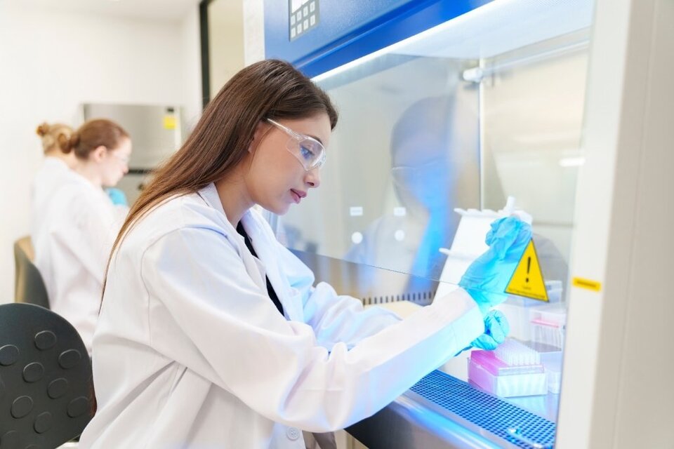 cabinas de bioseguridad sigcsa panama