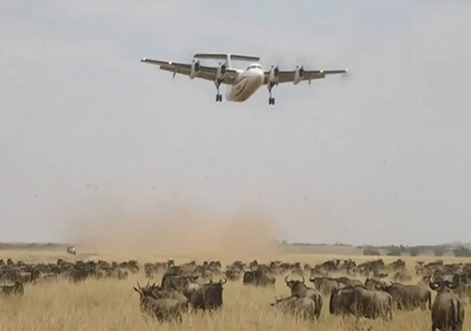 Tanzania Flying Safari Packages.