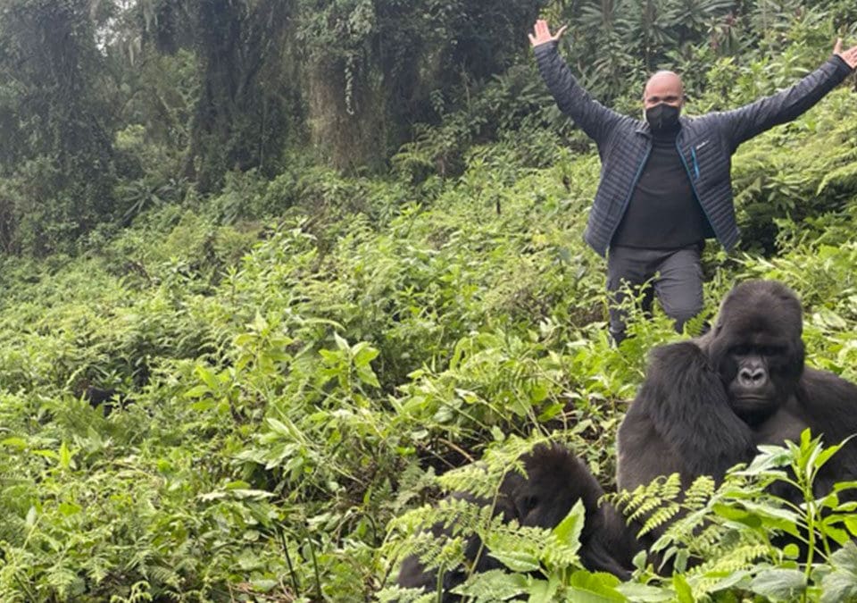 Where Does Gorilla Trekking Take Place in Uganda?