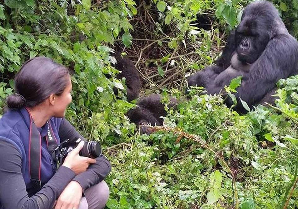 Bwindi impenetrable : Uganda gorilla trekking safaris