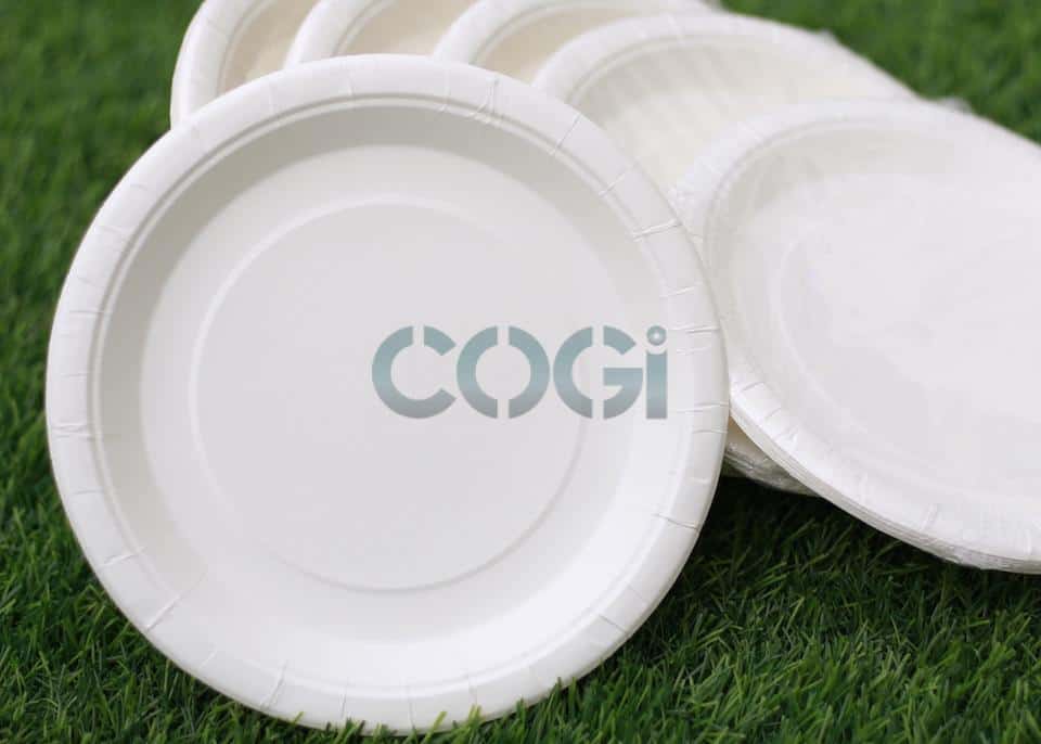 đĩa giấy 1 1