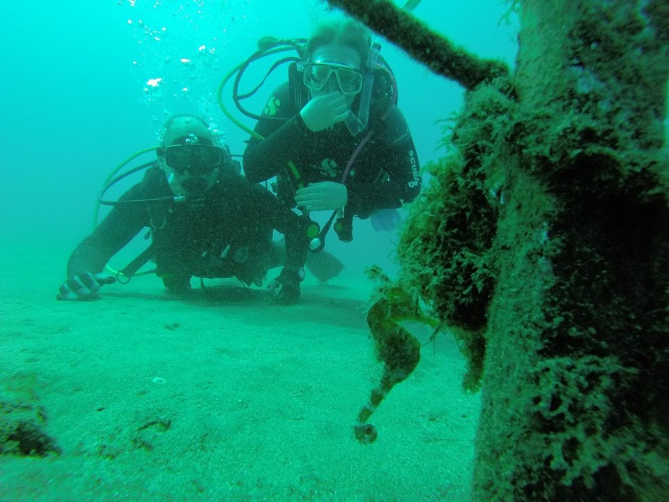 Techno Diving Lanzarote
