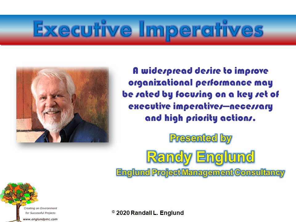title slide for Executive Imperatives