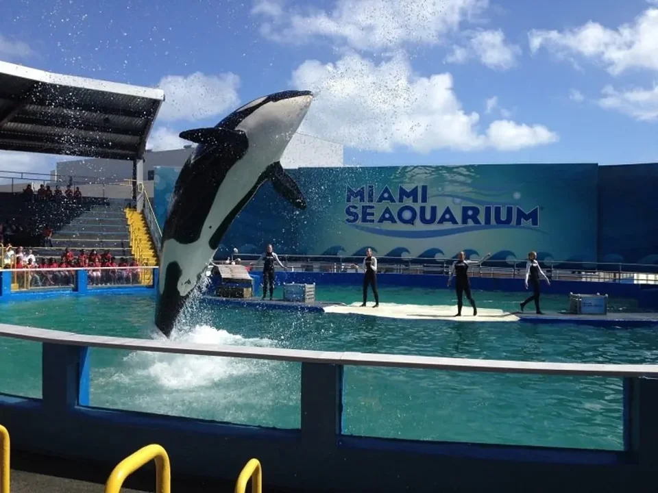 Seaquarium