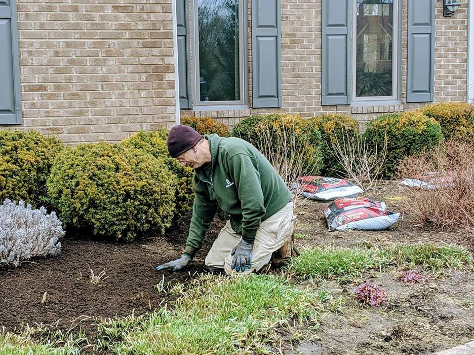 Read more about the article Mulch 101