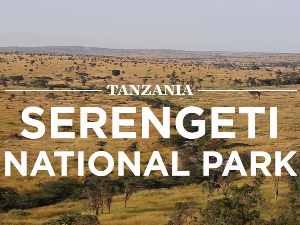 Why Is Serengeti Famous Worldwide