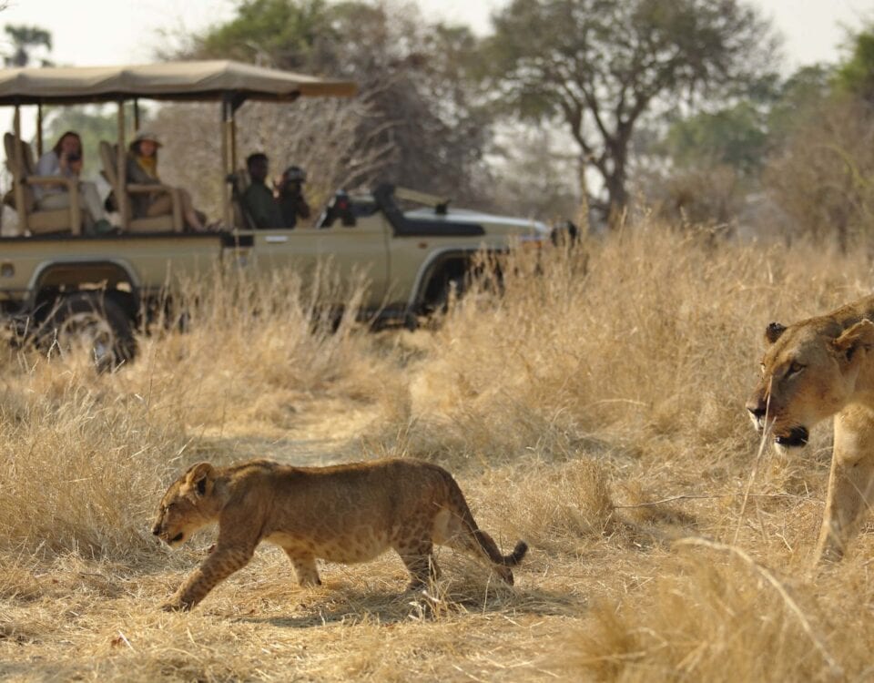 Ruaha National Park