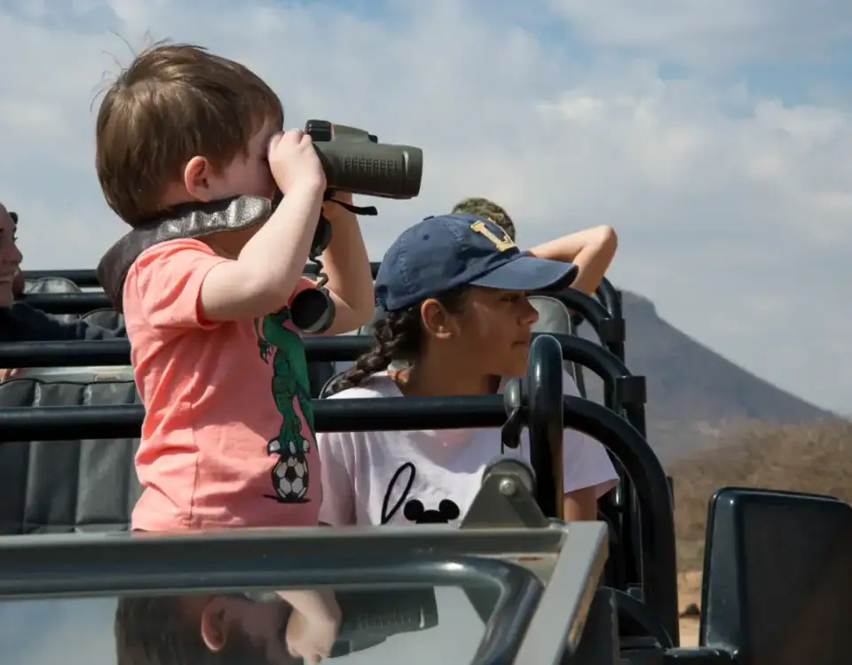 Best Photographic Safari in Rwanda