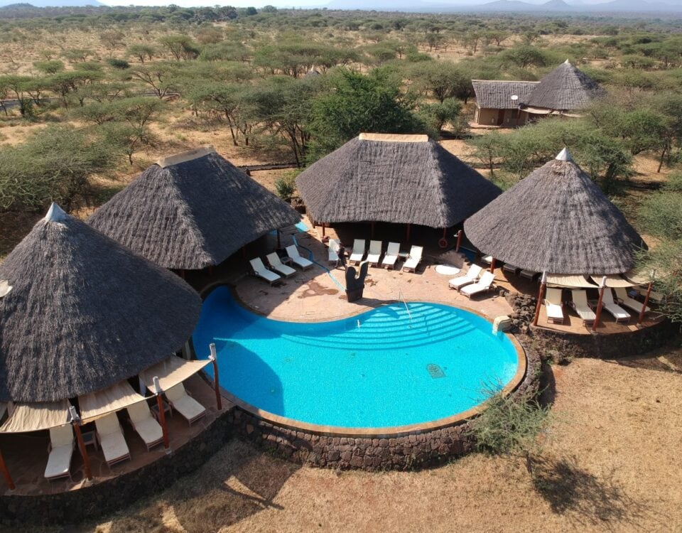 Uganda Gorilla Trekking Eco Lodges.