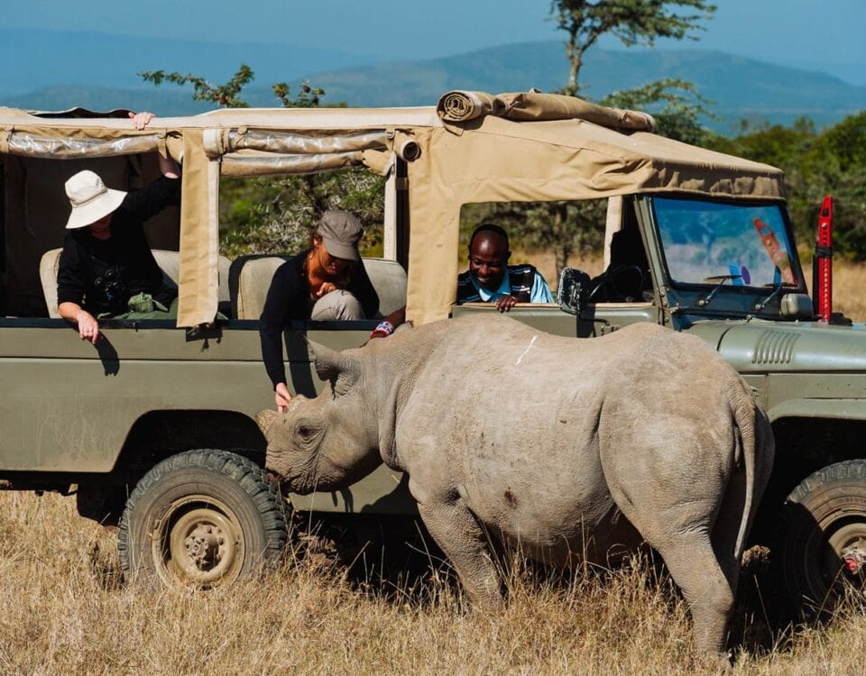 Guided Tours Available for Ol Pejeta