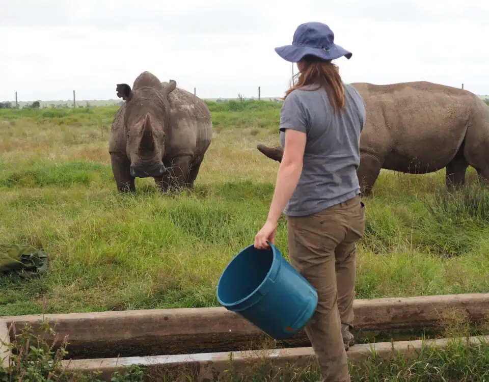 Best African Safari Destinations | Top Wildlife & Luxury Safaris in Africa
