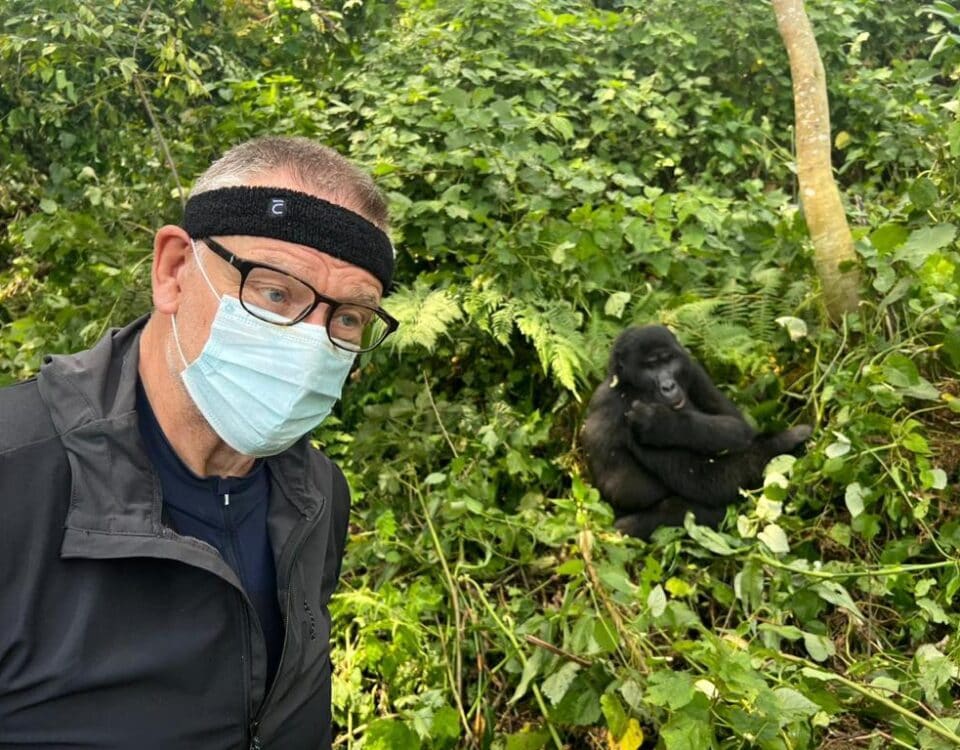 Uganda Safari