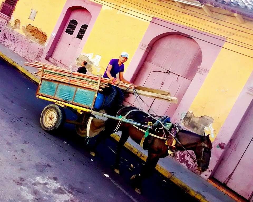 Up close and personal with the locals in Leon