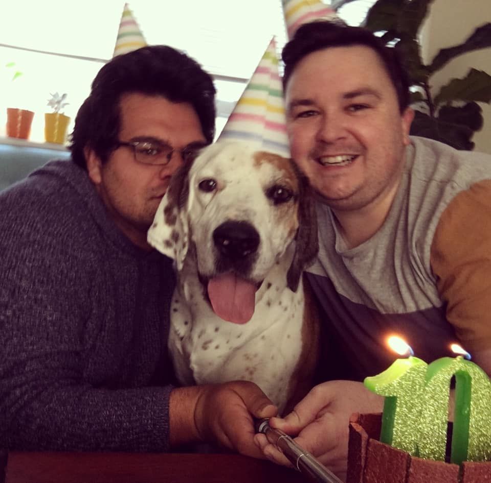 dog wearing a party hat with two men