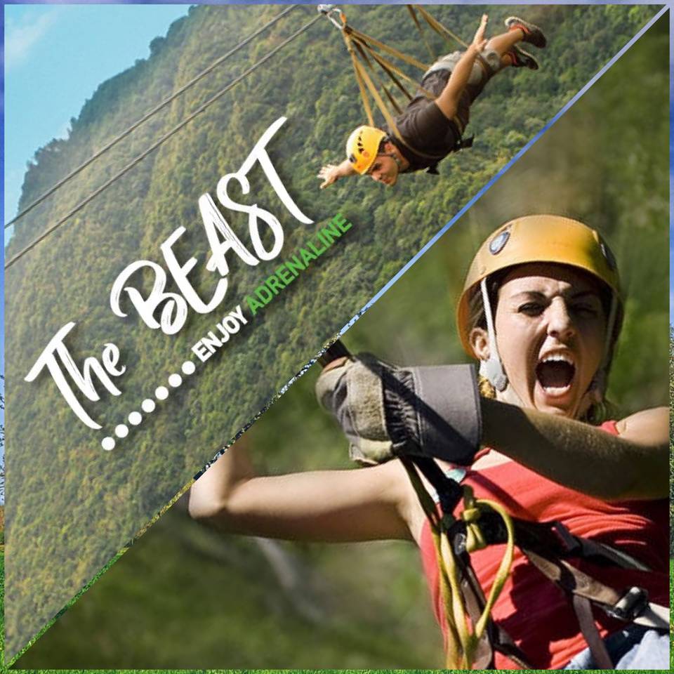 Toro Verde Zipline Puerto Rico – Longest Zipline Adventure