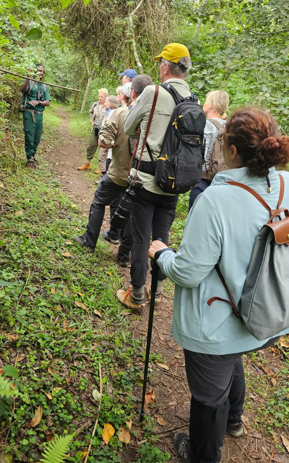 Bigodi wetlands 
