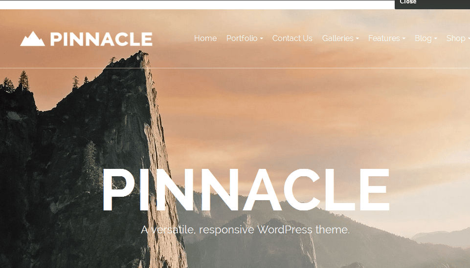 Pinnacle