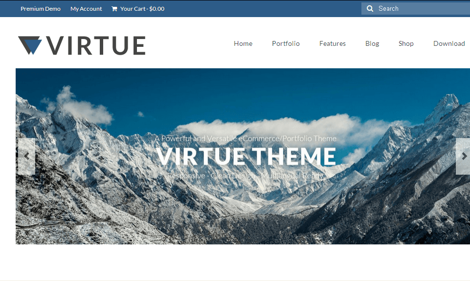 Virtue