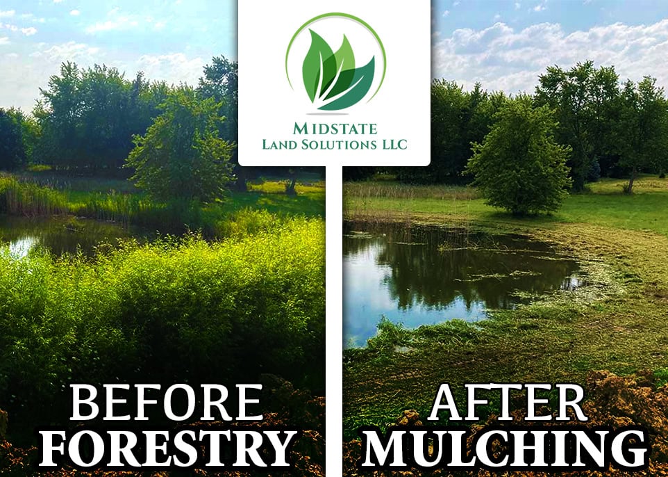 forestry mulching and selective clearing by midstate land solutions