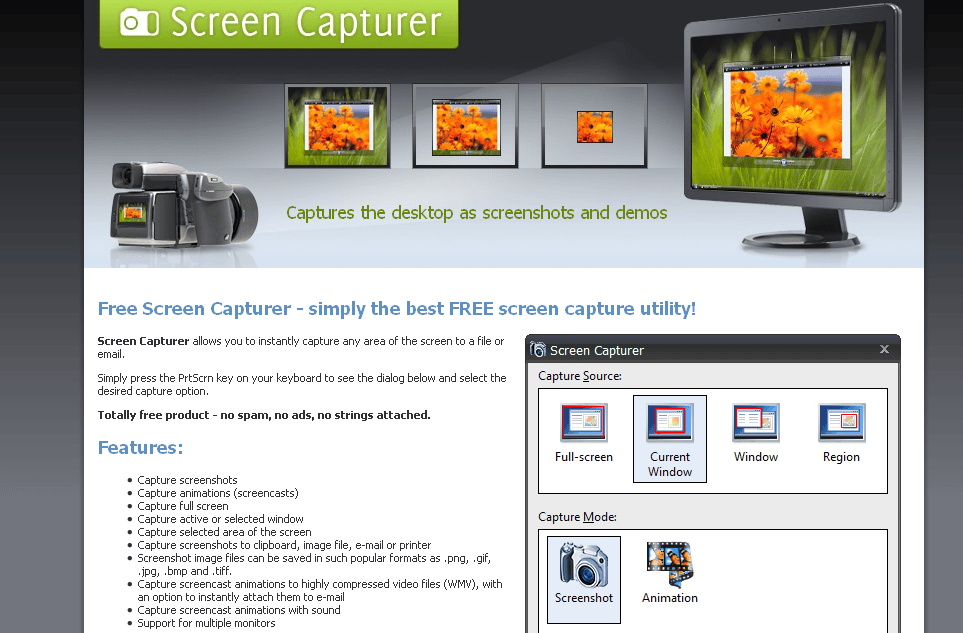 Screen Capturer