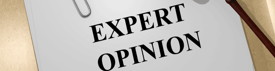 Papers which are titles Expert Opinion