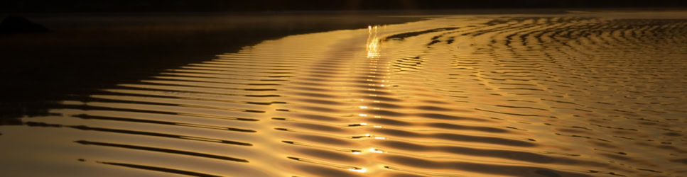 Business Interruption Policies