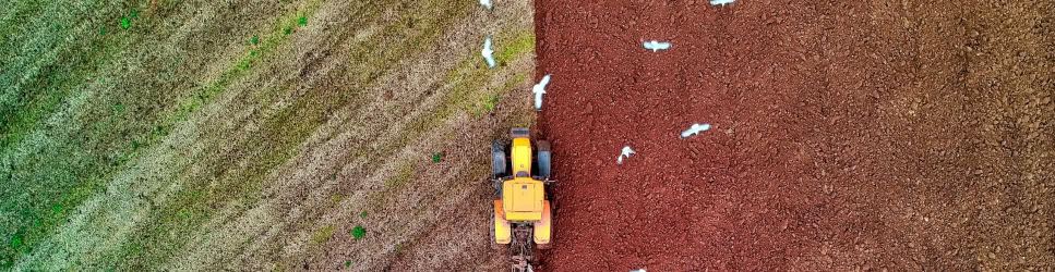 Agriculture Disputes