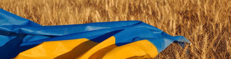 Ukraine flag on a field of wheat.
