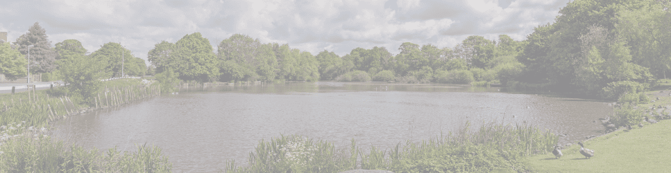 Photo of Christleton Duck Pond